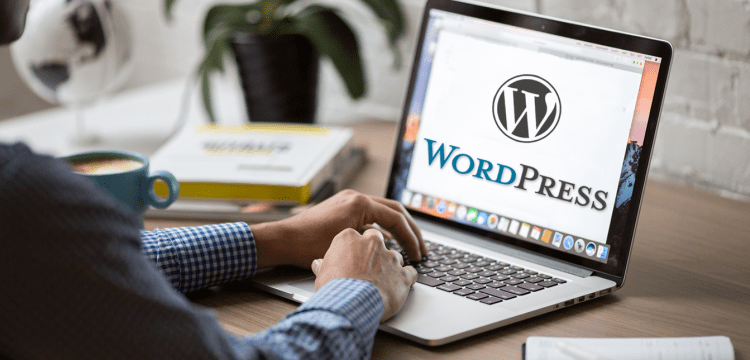Curso Básico de Manejo de tu página web en WordPress