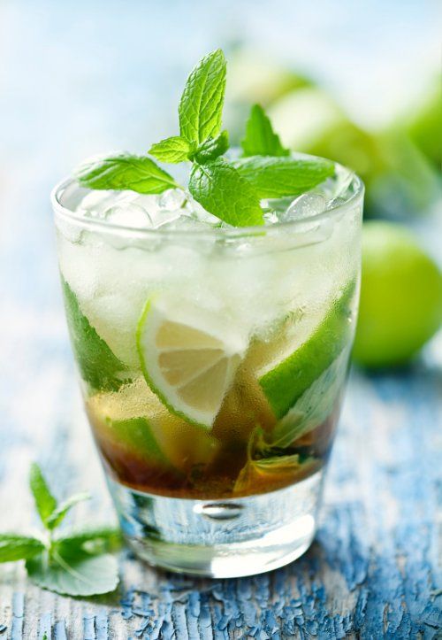 mojito diseno web madrid hotel playa